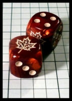 Dice : Dice - 6D - jspassnthru Maple Leaf - Private Sale Jan 2014